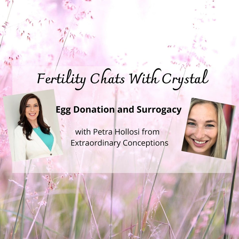 Egg Donation and Surrogacy 